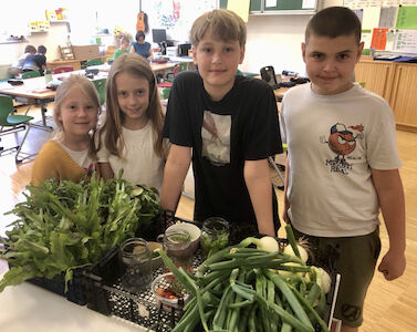 Die Ernte des Schulgartens wird von 4 Kindern stolz präsentiert. Zu sehen ist z. B. Salat und Zwiebeln.
