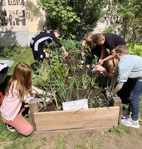 Eine Kindergruppe kümmert sich um ein Hochbeet.