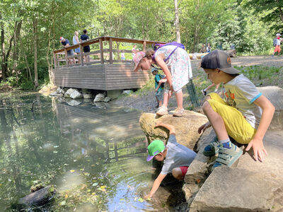 Ein paar Kinder spielen beim Teich. Ein Bub greift mit der Hand ins Wasser.