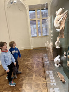 Zwei Buben schauen sich die Exponate hinter Glas genau an.