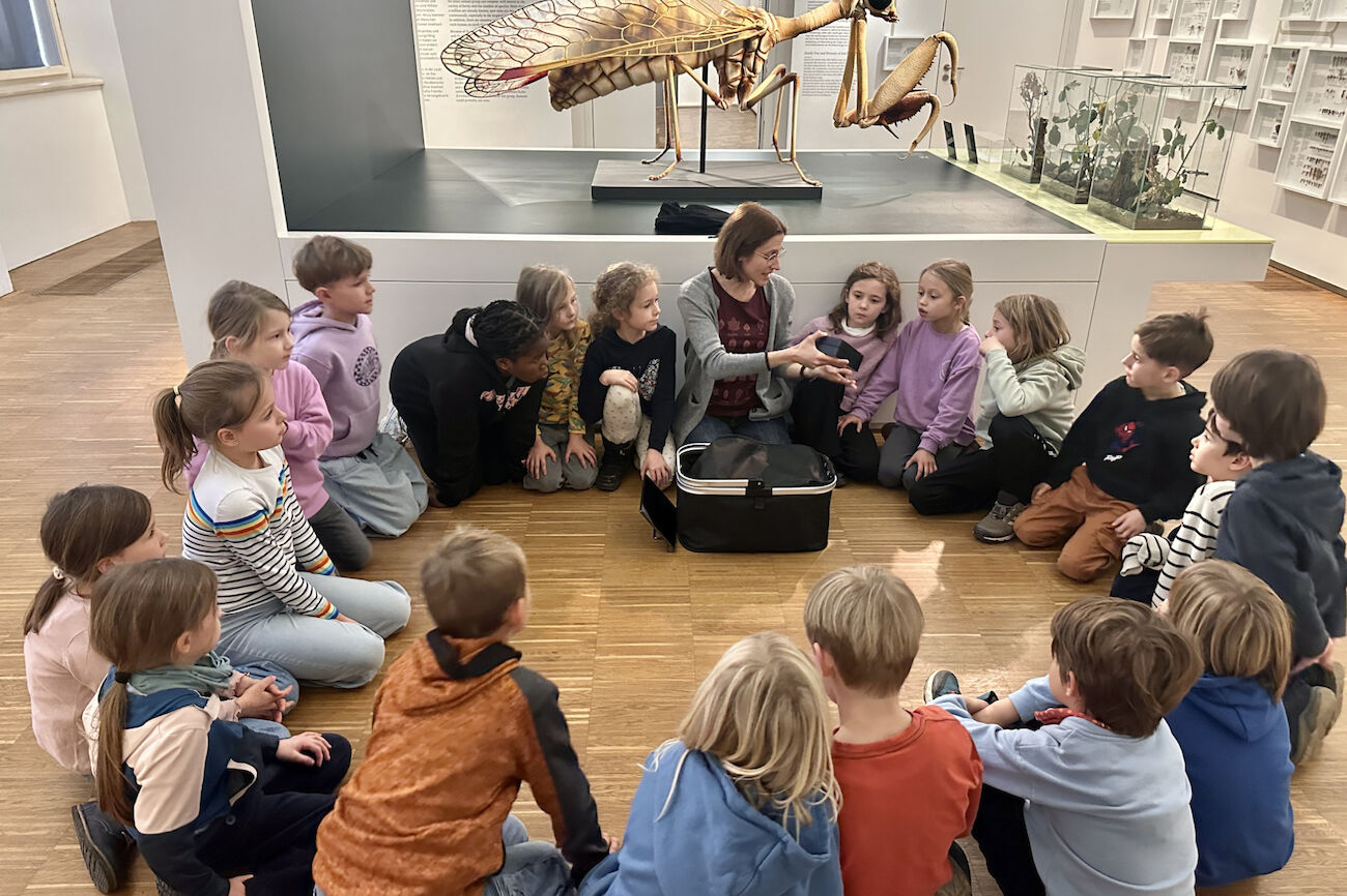 Eine Schulklasse sitzt im Kreis am Boden, die Führerin ebenso. Es werden Exponate im Kreis herumgegeben und darüber gesprochen. Im Hintergrund ist ein Insekt im XXL-Format ausgestellt.