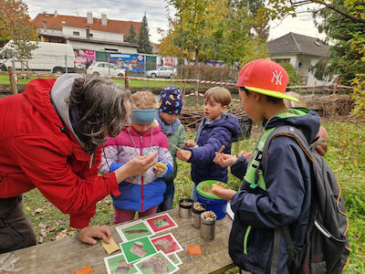 Mit Unterstützung eines Erwachsenen werden Holzstücke näher betrachtet.