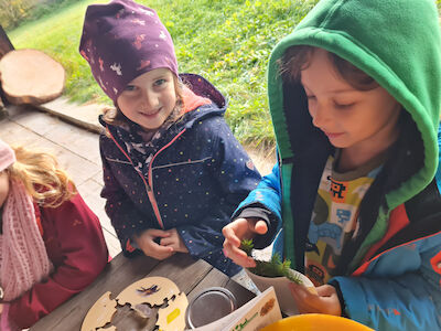 Ein Kind ertastet Nadelbaumäste, während ein anderes daneben steht.