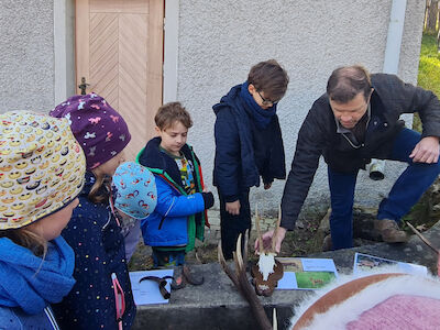 Verschiedene Geweihe werden von Kindern gemeinsam mit einem Erwachsenen inspiziert.