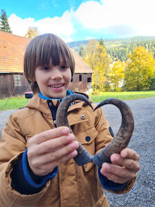 Ein Bub formt aus zwei Hörnern ein Herz.