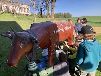 Viele Kinder probieren ihre Fähigkeiten beim Melken an einer lebensgroßen Holzkuh mit künstlichem Euter aus.