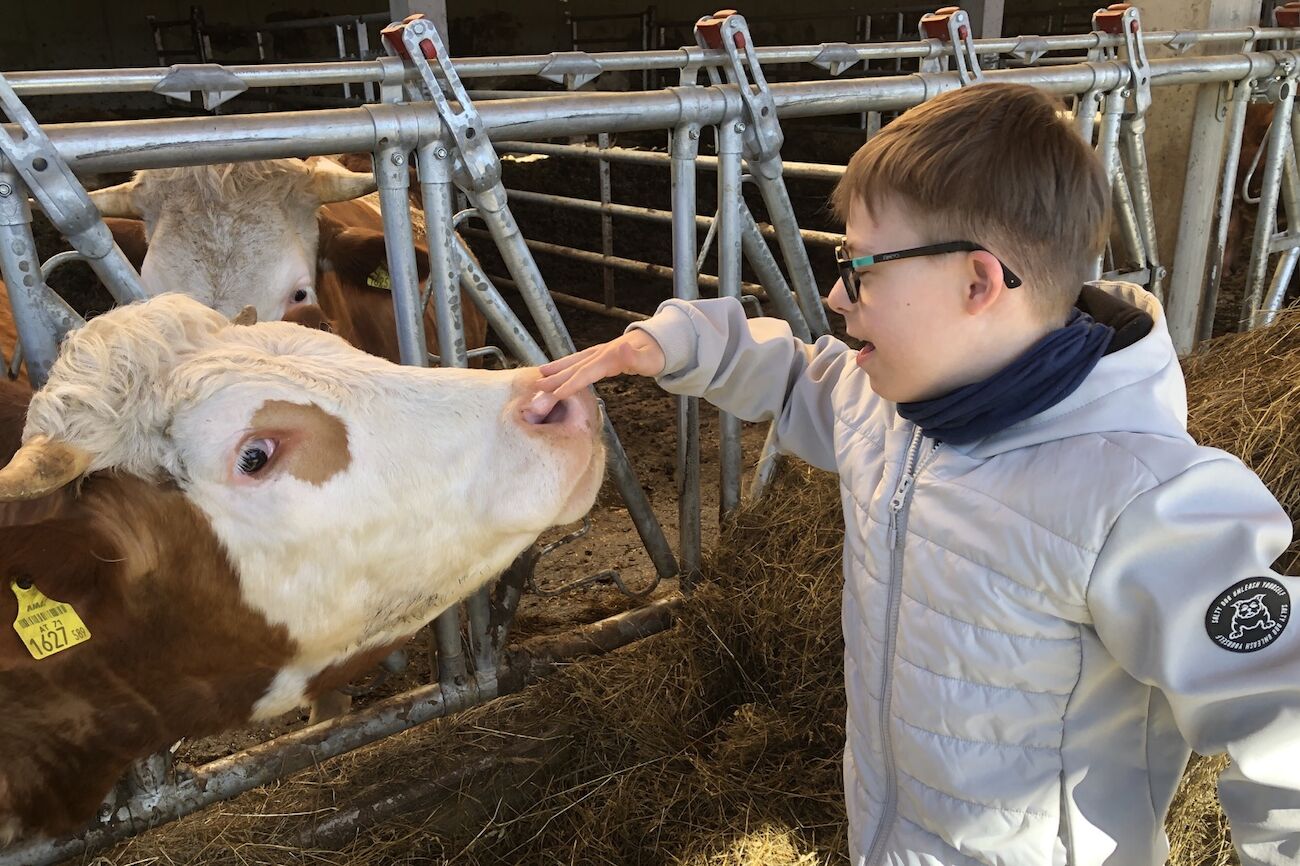 Ein Bub mit einer Brille streichelt im Stall vorsichtig die Schnauze einer Kuh.