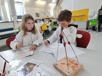 Ein Kinderforscherduo untersucht die Wärmeleitfähigkeit verschiedener Metallstäbe.