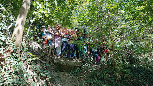 Die Gruppe der UVÜ Wandern beim Gruppenfoto im Wald hinter einem Geländer.