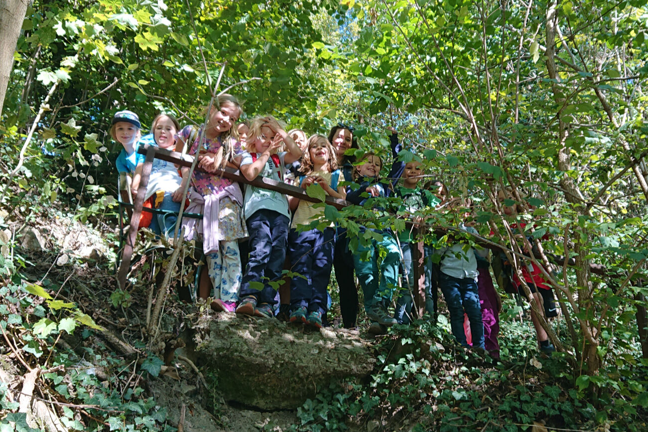 Die Gruppe der UVÜ Wandern beim Gruppenfoto im Wald hinter einem Geländer.