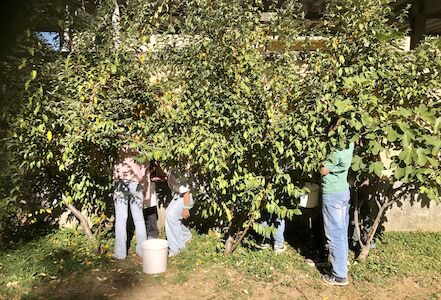 Kinder beim Ernten im Schulgarten, wo aber nur die Beine sichtbar sind.